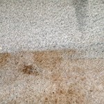 Carpet Cleaning Ellensburg, WA
