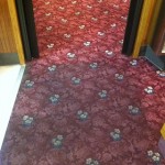 Carpet Cleaning Ellensburg, WA